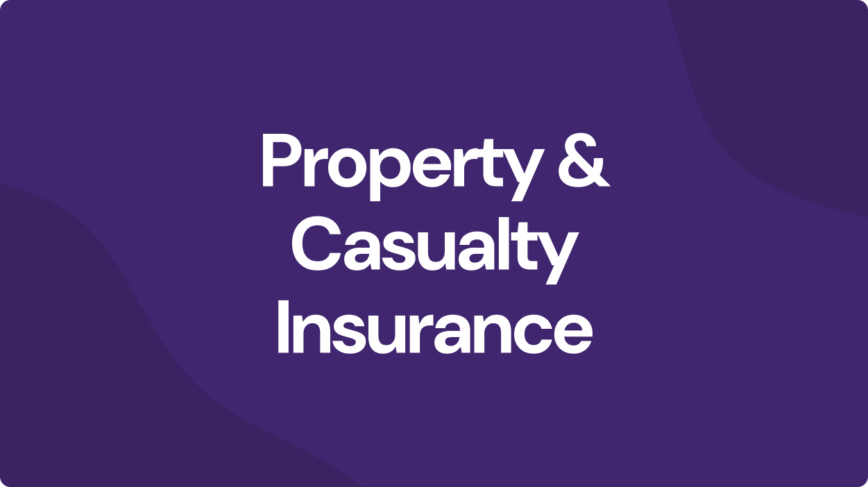 Property and Casualty(P&C):