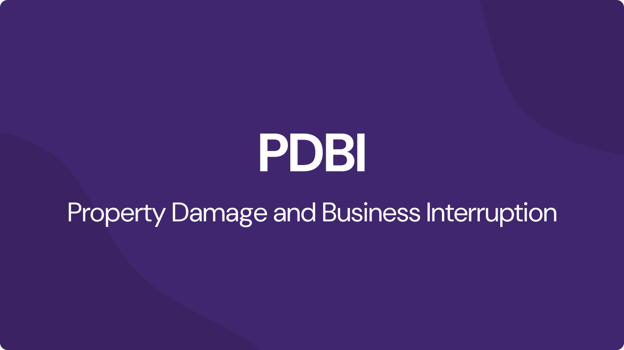 Property Damage and Business Interruption(PDBI):